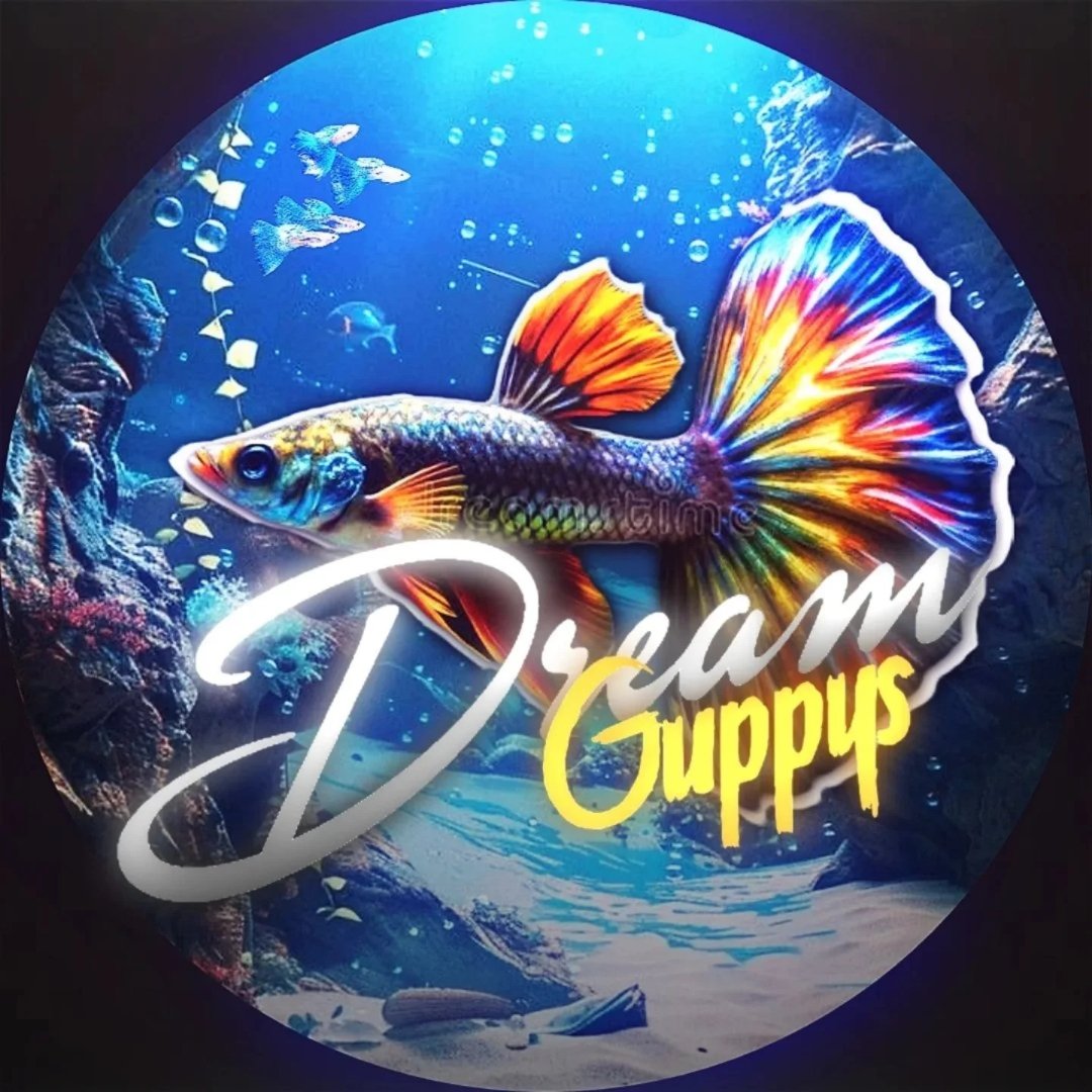Dream Guppy Logo